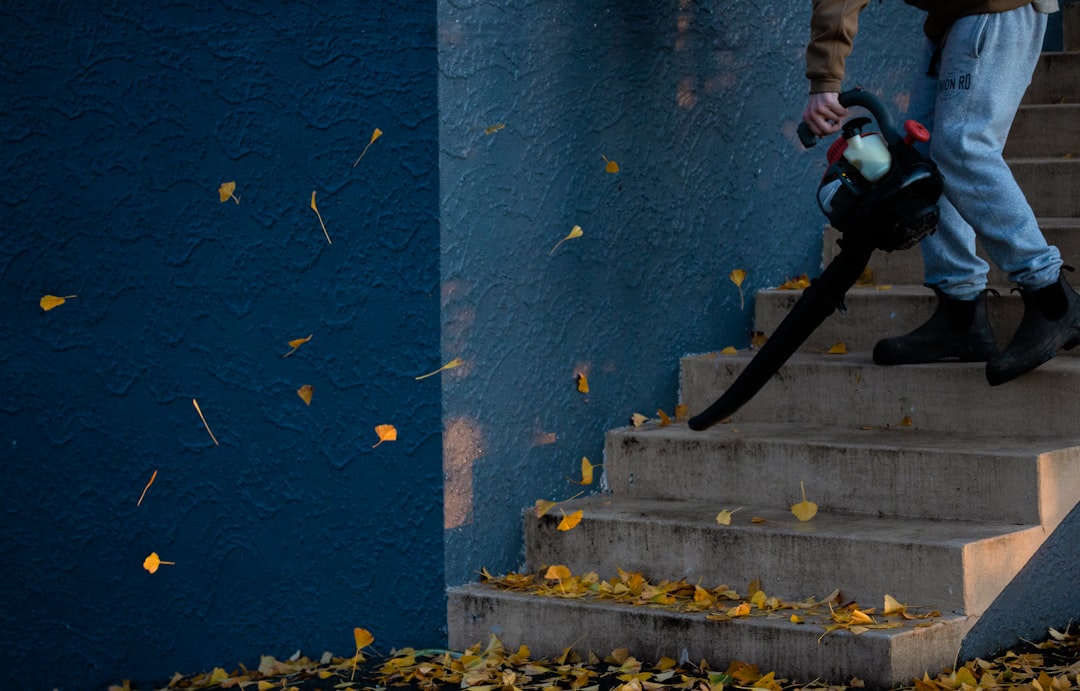 stairs being blown down by a leaf blower